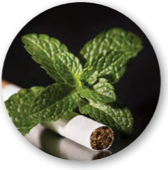 Tobacco Update 2025 (Dec. 15, 2025)